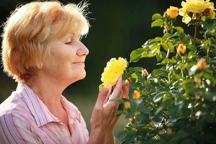 benefits-of-sensory-activities-for-seniors-hidden-meadows-on-the-ridge