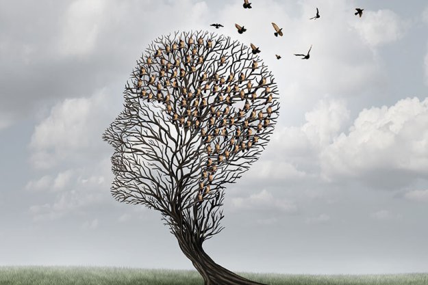 Five Types Of Irreversible Dementia Five Types Of Irreversible Dementia